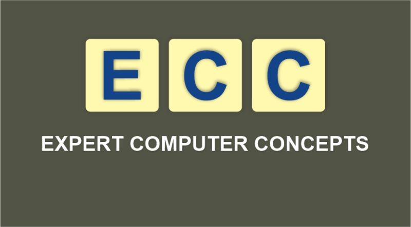 CERTIFICATE IN ECC (EXPERT COMPUTER COURSE) ( S-V-011 )
